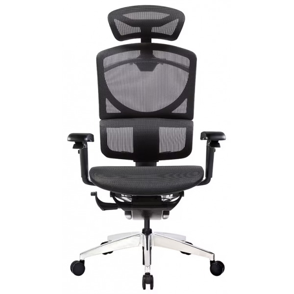 GTCHAIR ISEE-X-BK 人體工學網椅 (黑色)